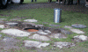 capsule2.gif (125514 bytes)