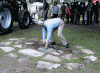 capsule5.gif (116618 bytes)