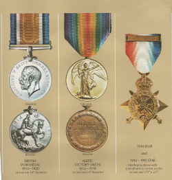 George Nosworthy Medals Widecombe WW1: George Nosworthy Medals